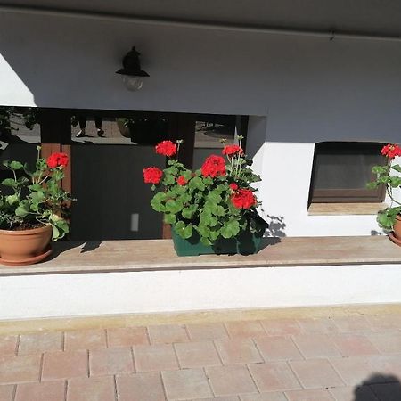 Ana Boutique Bed & Breakfast Alba Iulia Exterior photo
