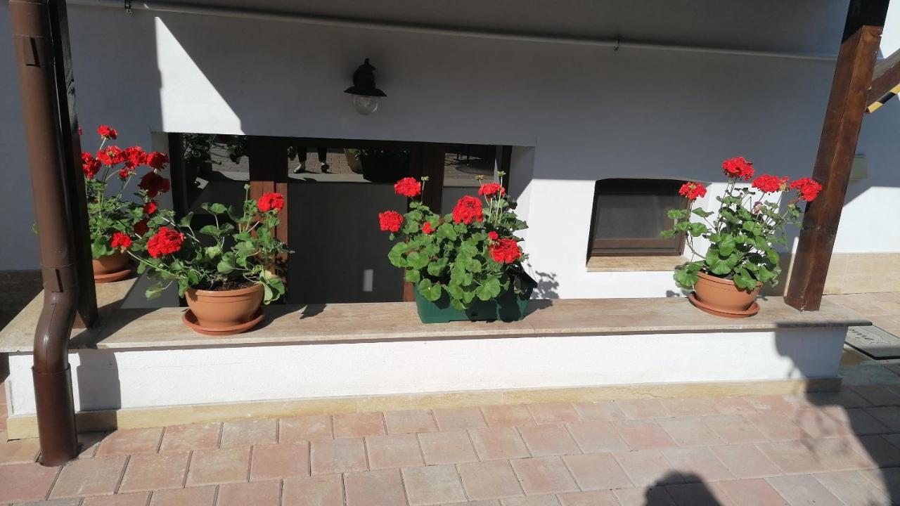 Ana Boutique Bed & Breakfast Alba Iulia Exterior photo